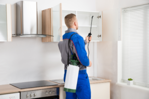 who are the best pest control services in hyderabad